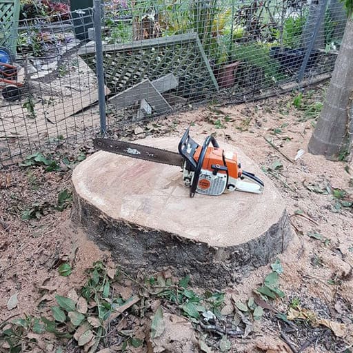 Sri-Anjaneya-Treecutting-Services-Gallery17